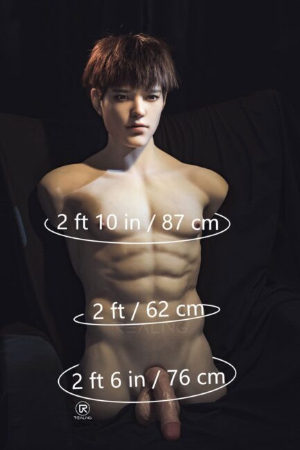 82cm/2ft8 Male Torso Silicone Head Sex Doll – Leonardo - Image 2